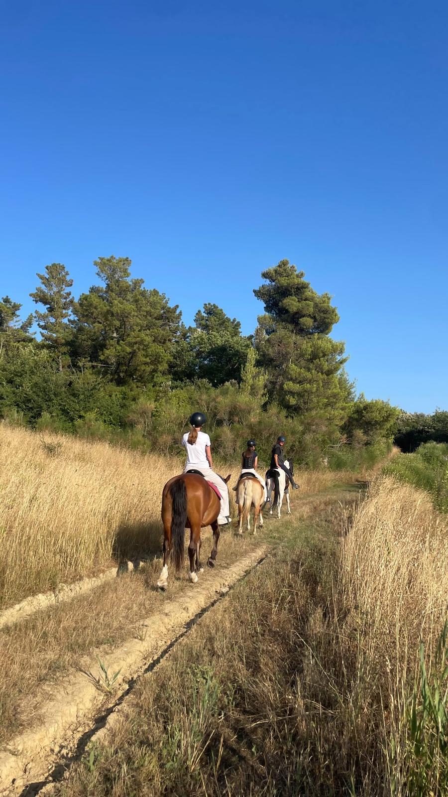 Unicostay | Horse Riding