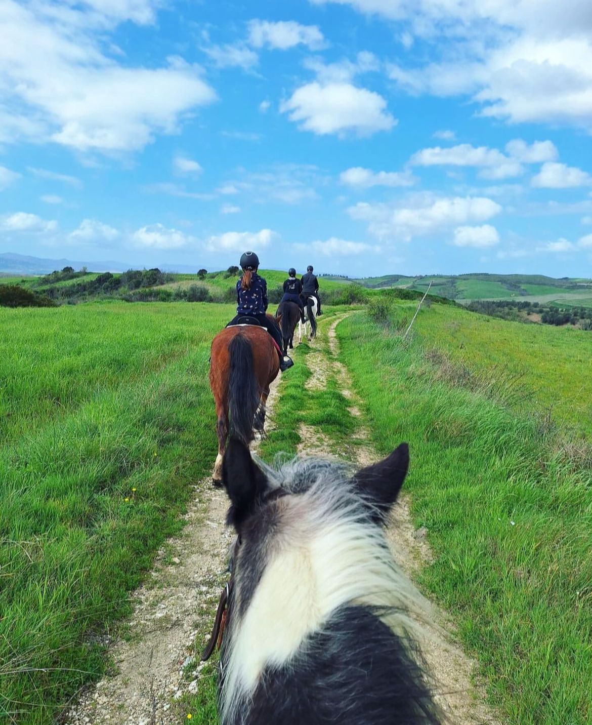 Unicostay | Horse Riding