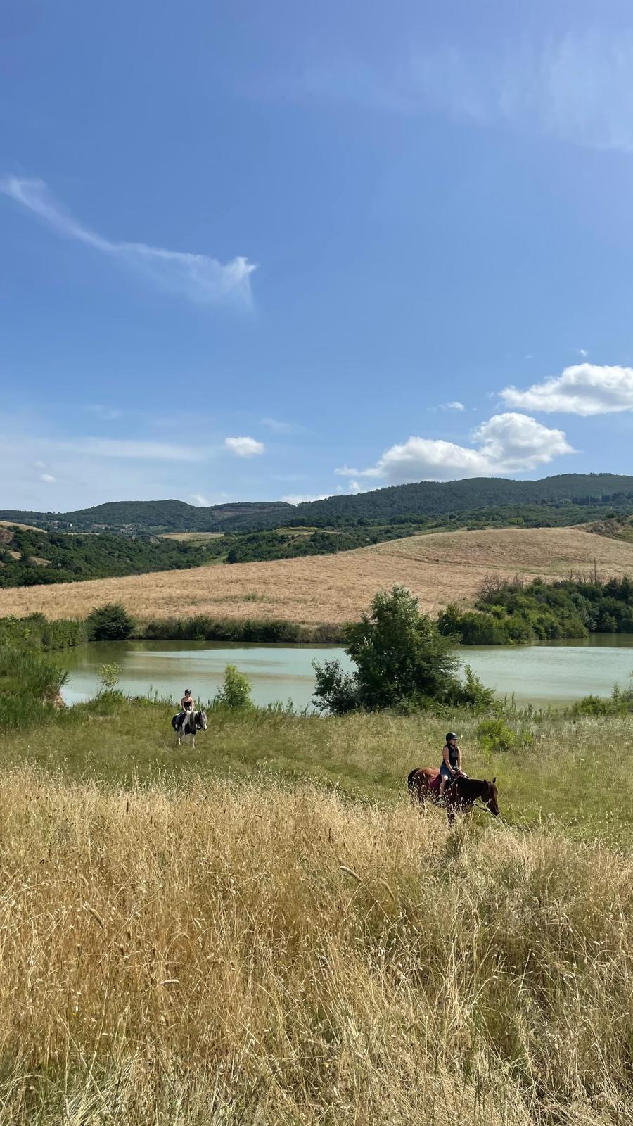 Unicostay | Horse Riding